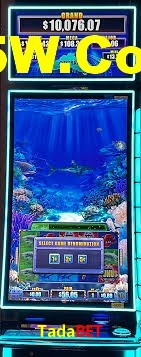 Live Casino Tadabet